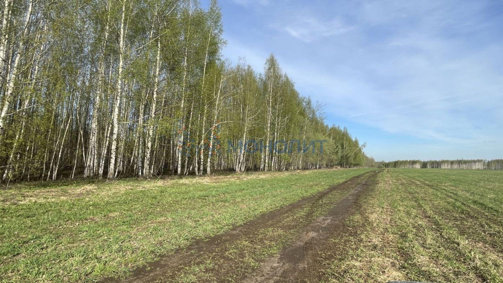 Купить землю, земельный участок за 7 400 000 рублей на Каменка с.