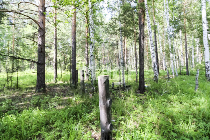 Земельный участок Садовая,
