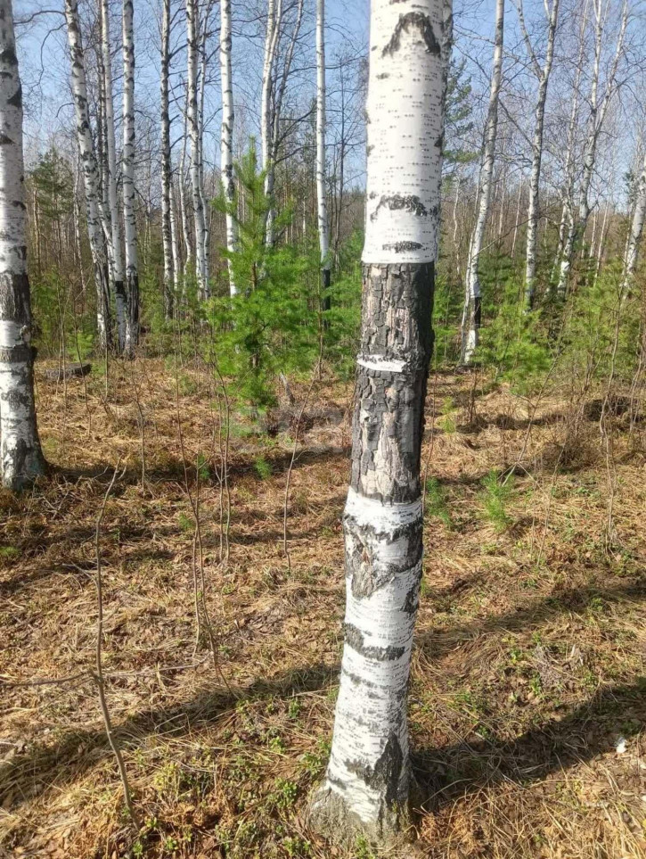 Земельный участок Дегтярск,Мира 199