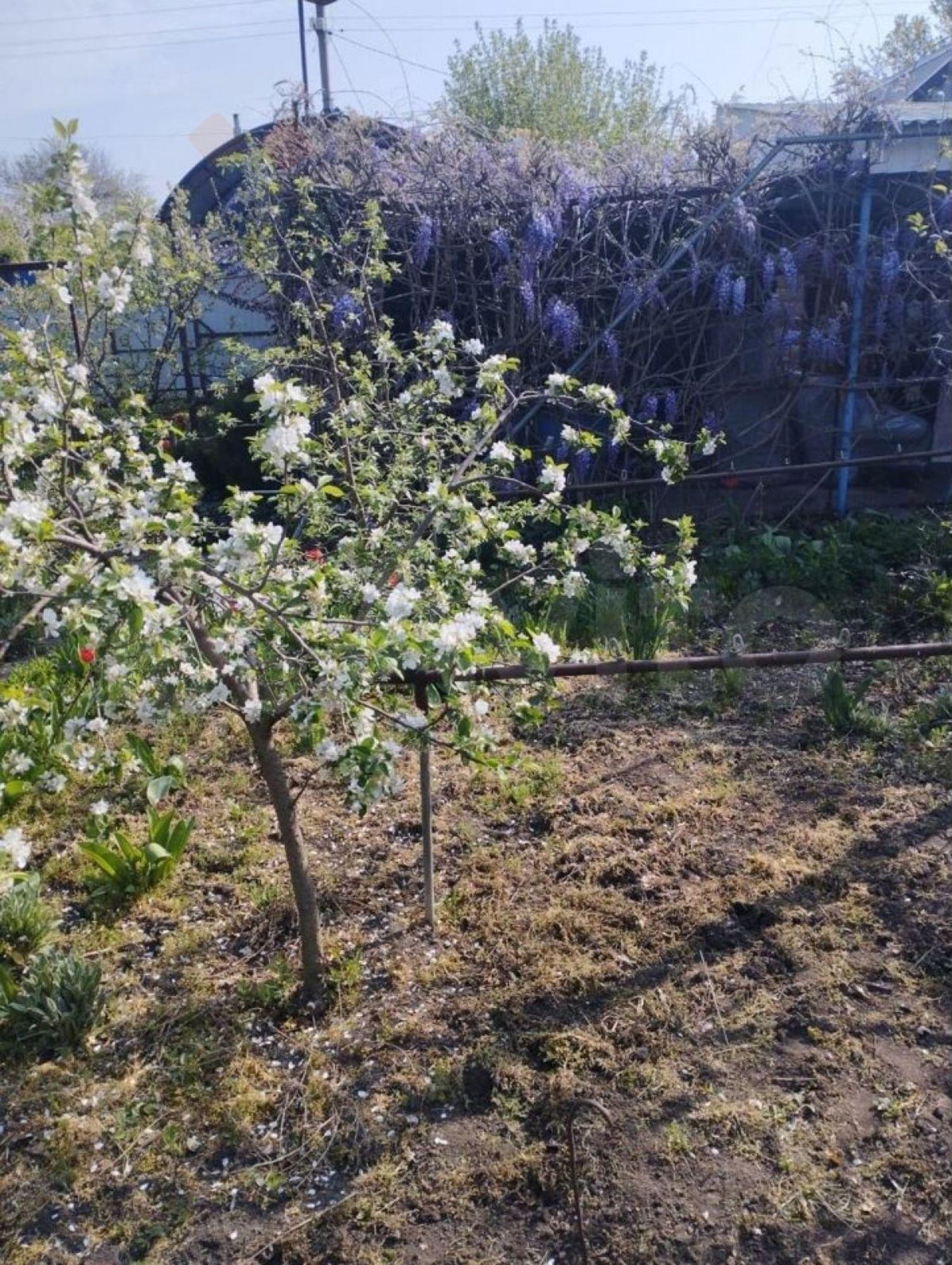 Купить дачу, дом, коттедж за 3 500 000 рублей на Яблочная ул, 432