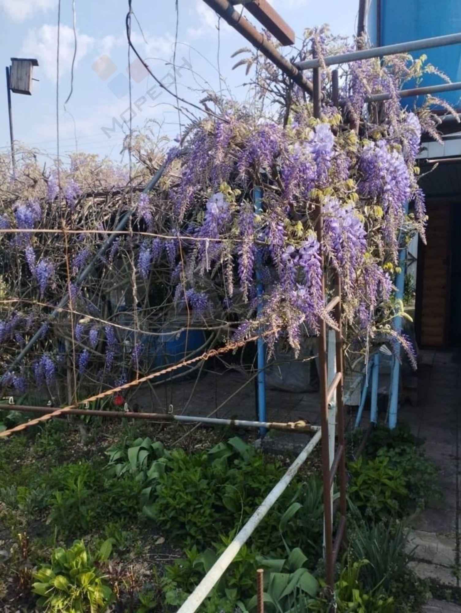 Купить дачу, дом, коттедж за 3 500 000 рублей на Яблочная ул, 432