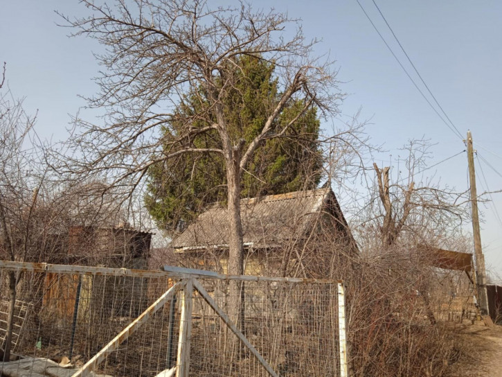 Земельный участок тер СНТ Садовод (Тульская), 42