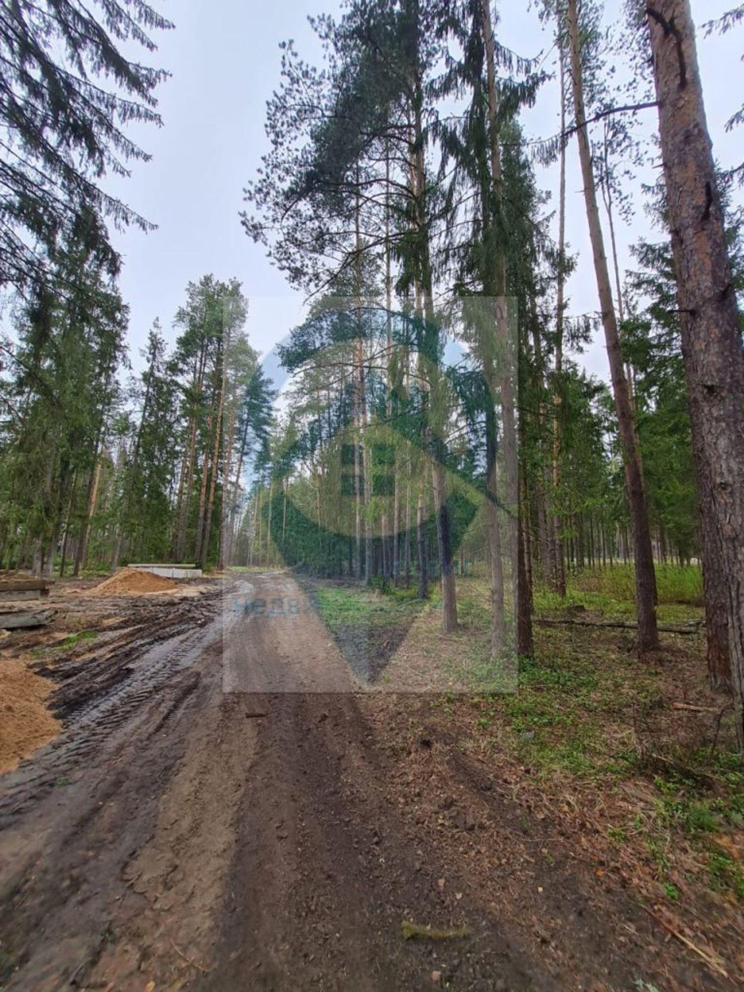 Купить землю, земельный участок за 3 600 000 рублей на Гоголево д