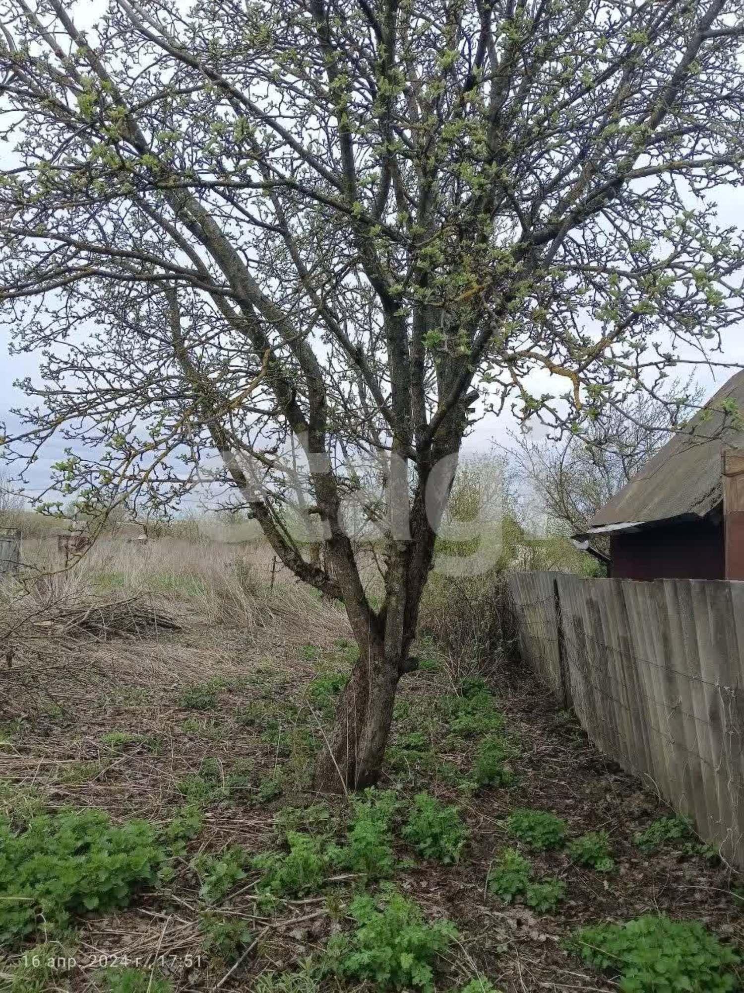 Купить дачу, дом, коттедж за 650 000 рублей