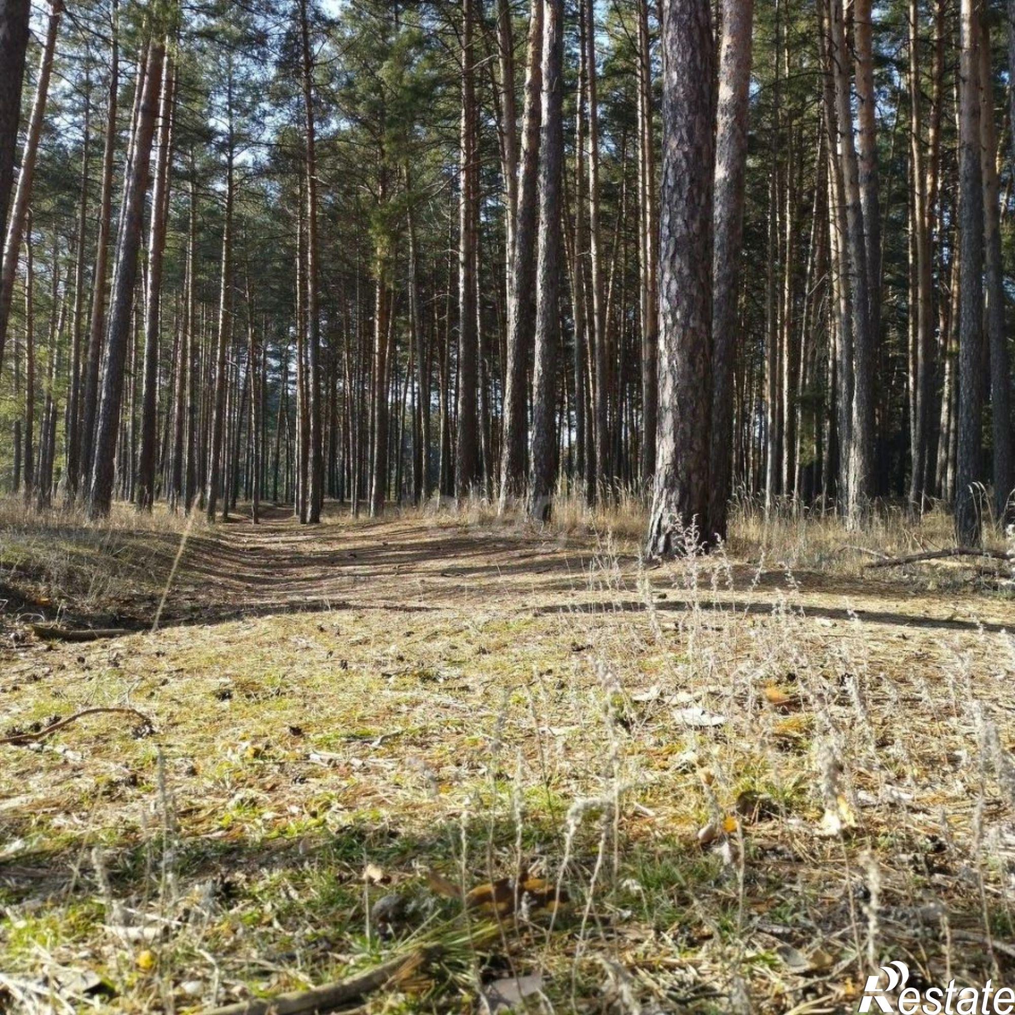 Купить землю, земельный участок за 270 000 рублей
