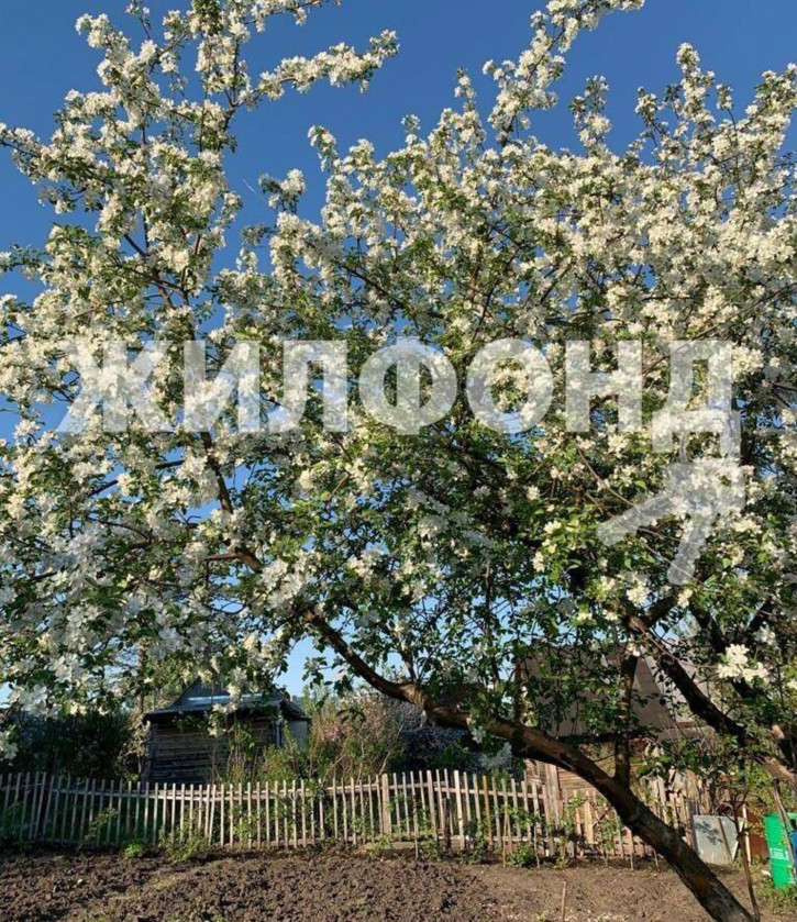 Коттедж/дом с/о Угольщик