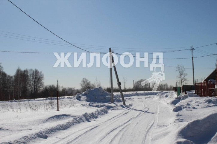 Коттедж/дом Свободы