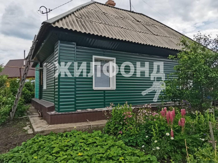 Коттедж/дом Искитим