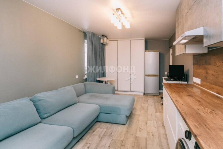 1-комн квартира Тургенева, 225