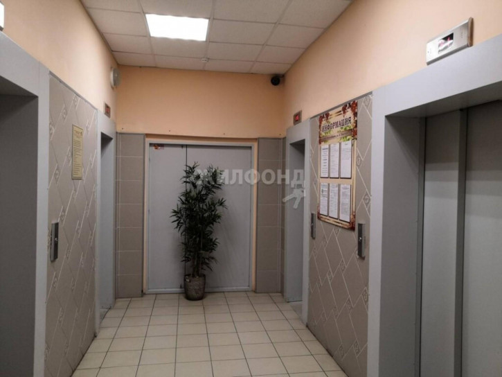 1-комн квартира Толстого, 56