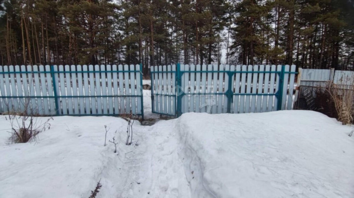 Коттедж/дом Новолуговое