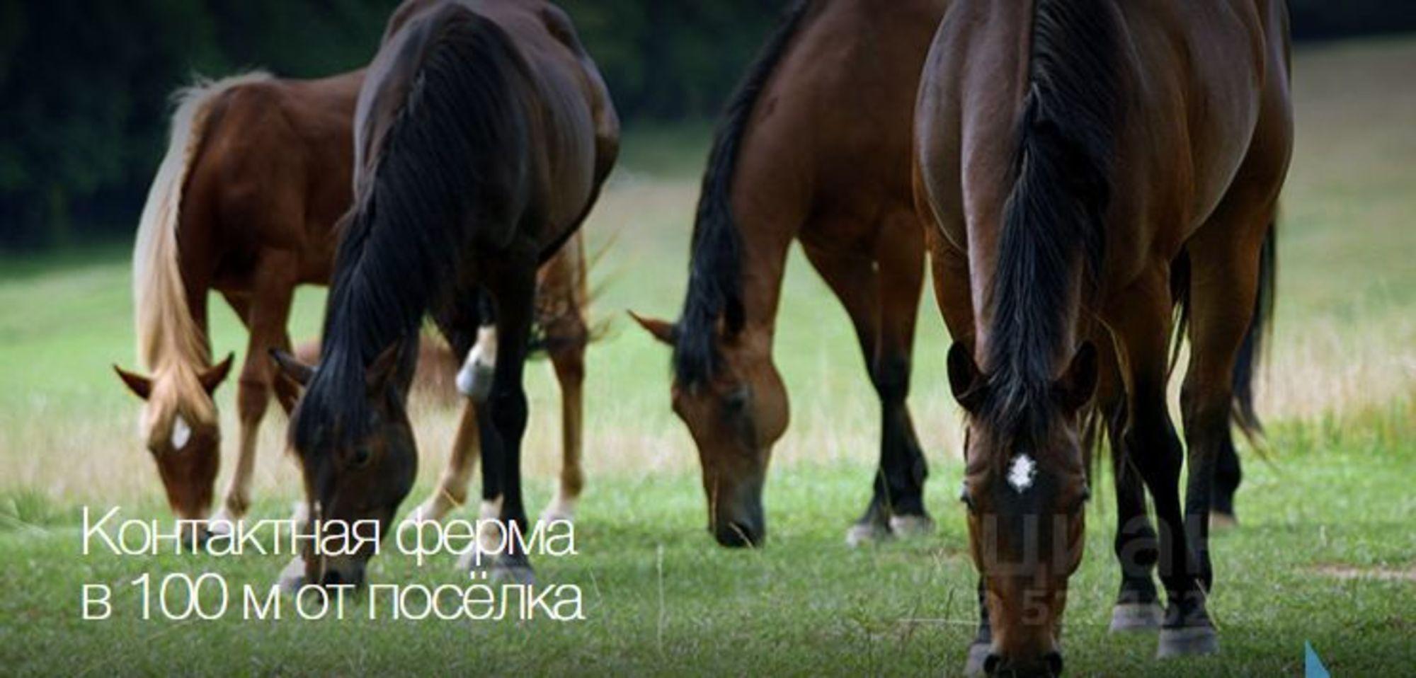 Купить землю, земельный участок за 850 000 рублей на Советская улица, 1А