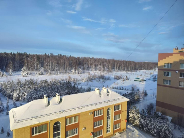 2-комн квартира Центральная улица
