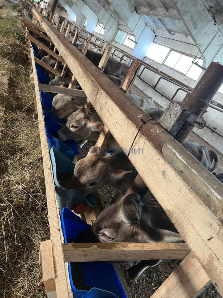 Офис Заводская ул, 3