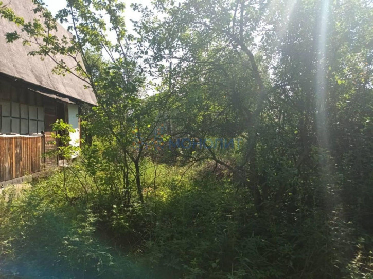 Земельный участок Дружба