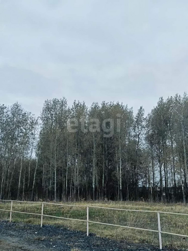 Земельный участок Насекина