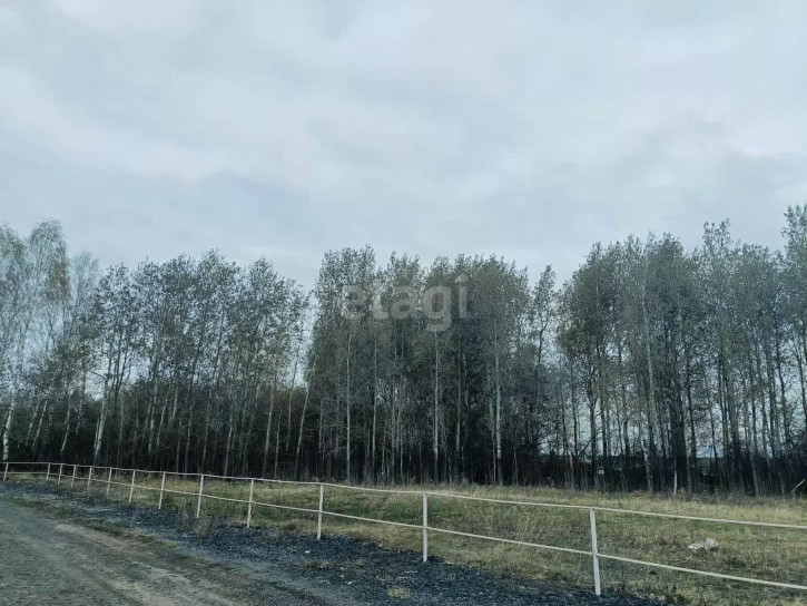 Земельный участок Насекина