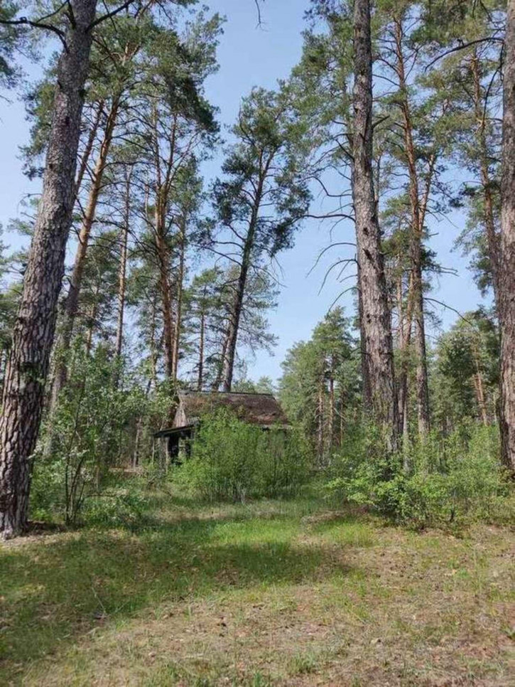 Земельный участок Лесопарковое шоссе