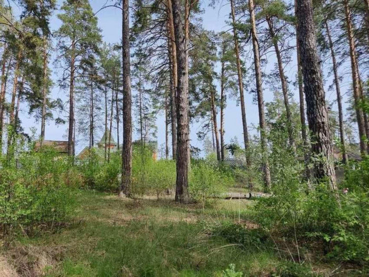 Земельный участок Лесопарковое шоссе