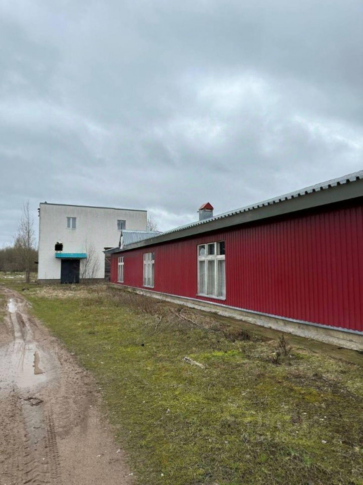 Отдельное здание Осташковский городской округ, деревня Погорелое