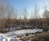 земля 15.2 сот Верх-Нейвинский,Ленина 168 кор 1