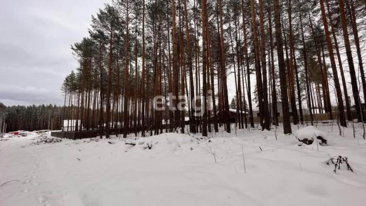 Земельный участок КП Сосновый бор, 1387