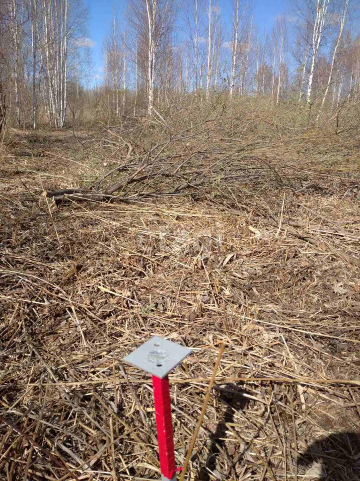 Земельный участок Большое Царево-2