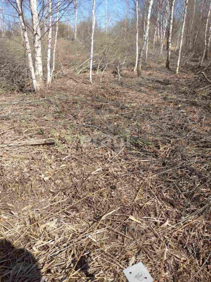Земельный участок Большое Царево-2