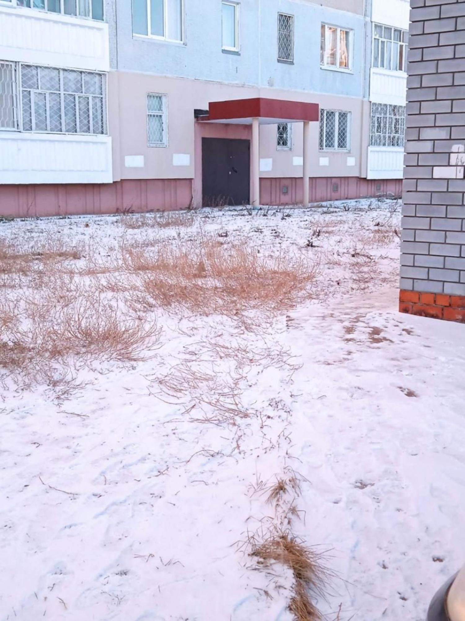 Купить помещение свободного назначения за 1 500 000 рублей на пр-кт Раиса Беляева, 90