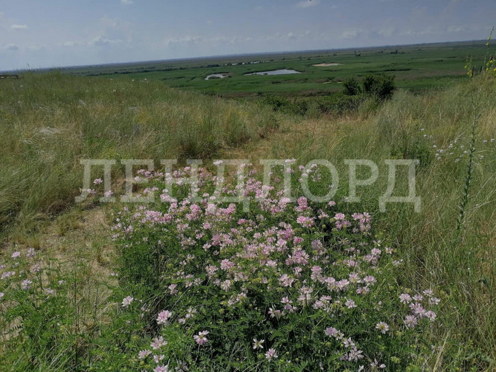 Земельный участок улица Свободы