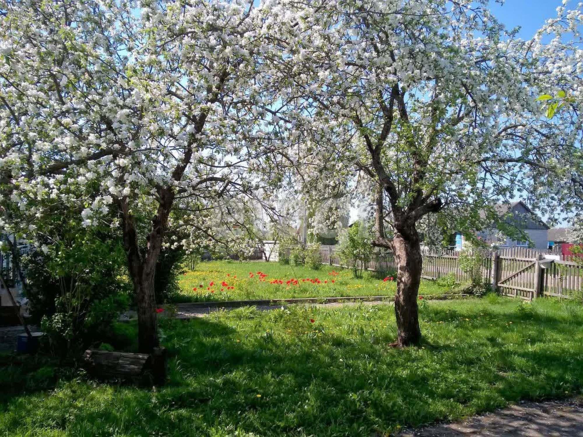 Купить дачу, дом, коттедж за 2 999 000 рублей