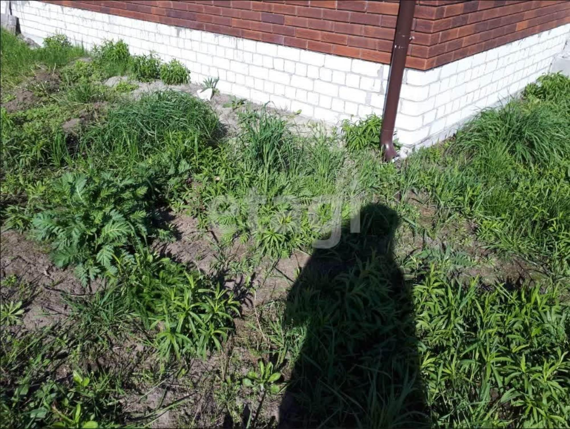 Купить дачу, дом, коттедж за 4 500 000 рублей