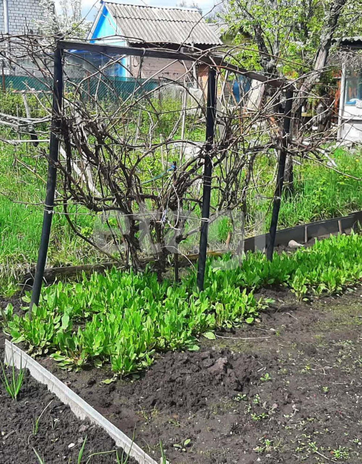 Коттедж/дом Карачижская улица
