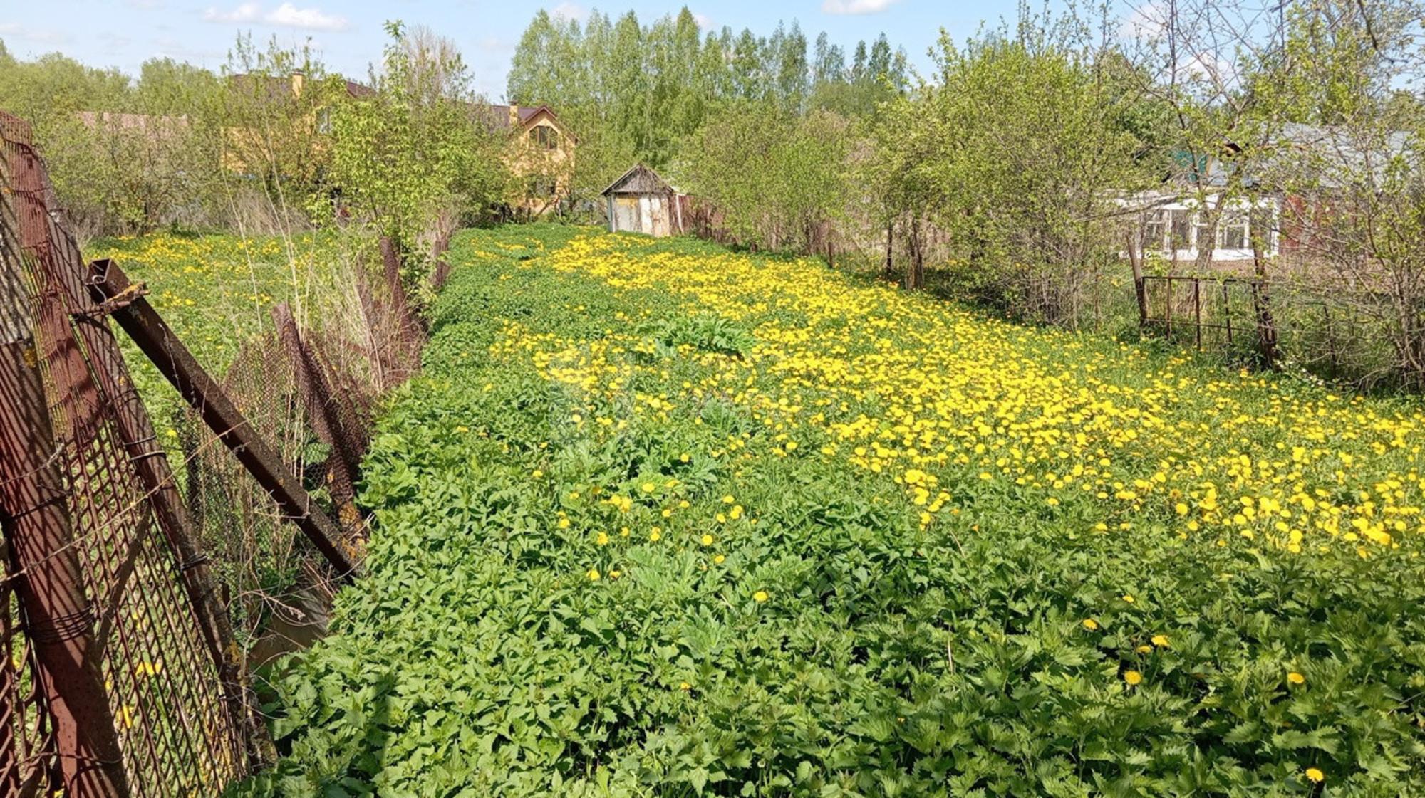 Купить землю, земельный участок за 450 000 рублей на Молодежный п.