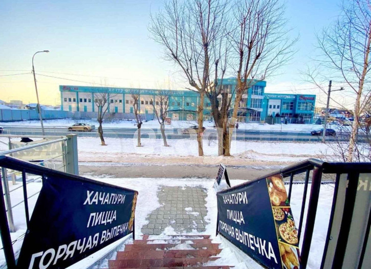 Помещение свободного назначения Николая Чаплина 113