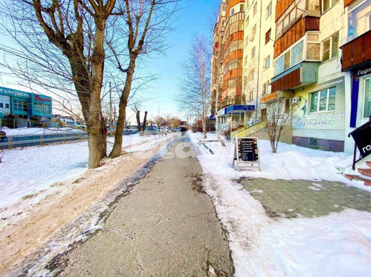 Помещение свободного назначения Николая Чаплина 113