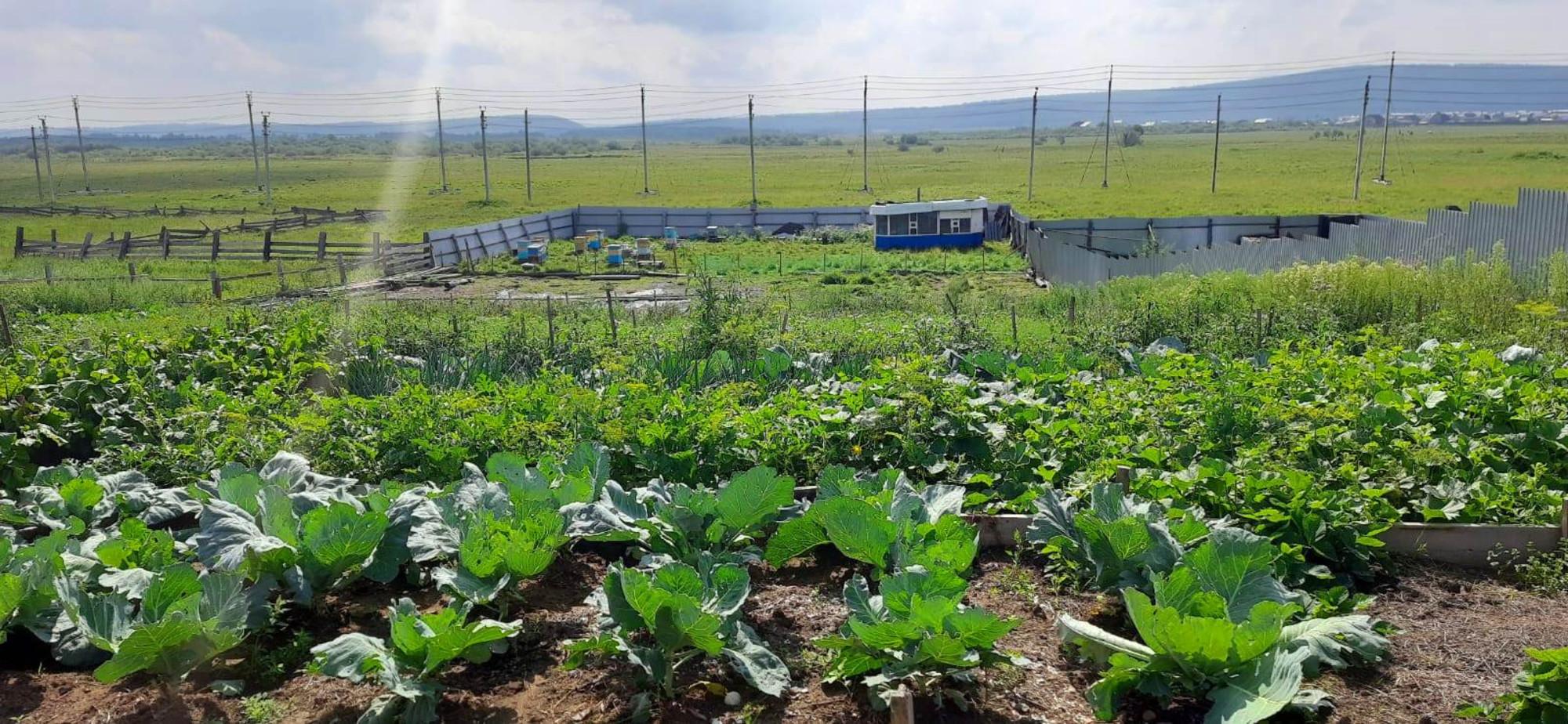 Купить дачу, дом, коттедж за 6 500 000 рублей на Братьев Ченских, 26