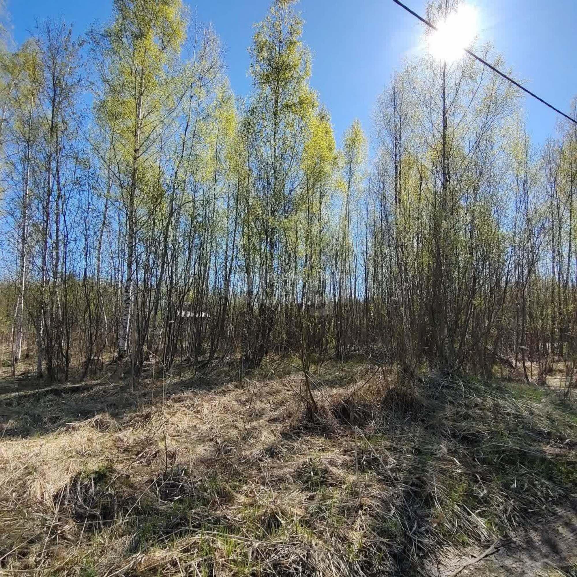 Купить землю, земельный участок за 250 000 рублей на садоводческое товарищество Медик, 229