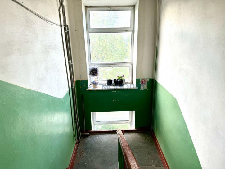 1-комн квартира Московское ш, 292