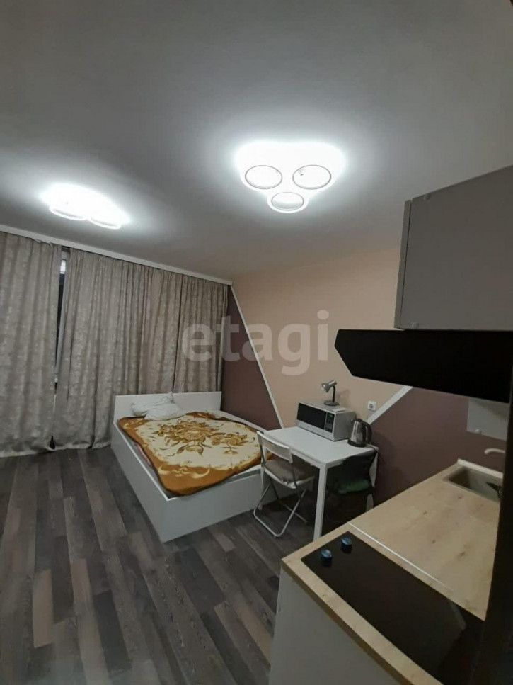 Студия Академика Парина, 33