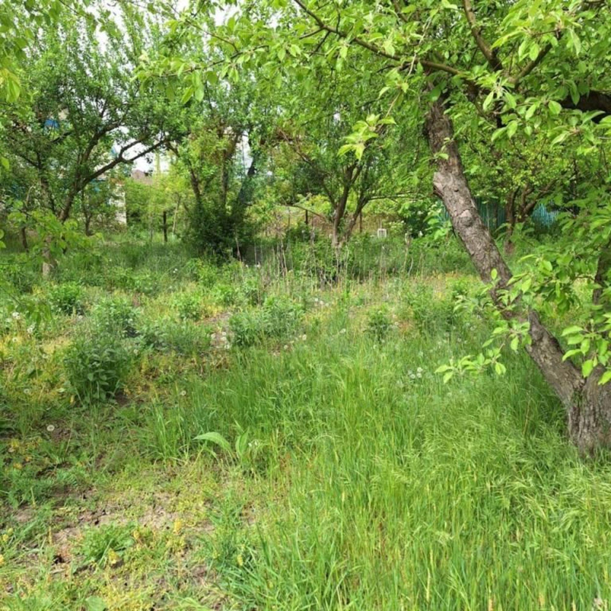 Купить дачу, дом, коттедж за 3 200 000 рублей на Садовая ул, 24