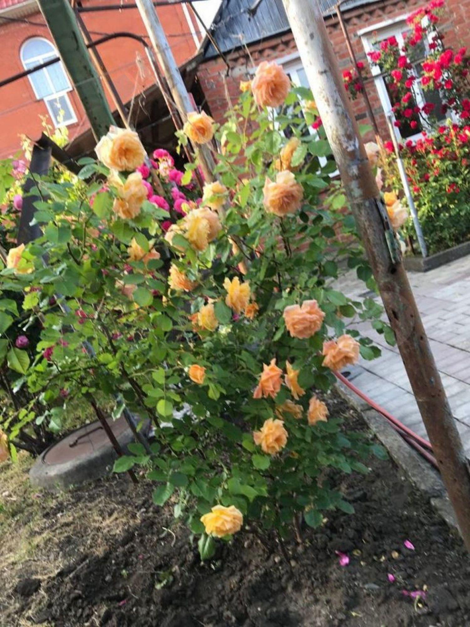 Купить дачу, дом, коттедж за 11 750 000 рублей на Сафонова ул, 60 Купить дачу, дом, коттедж за 11 750 000 рублей на Сафонова ул, 60