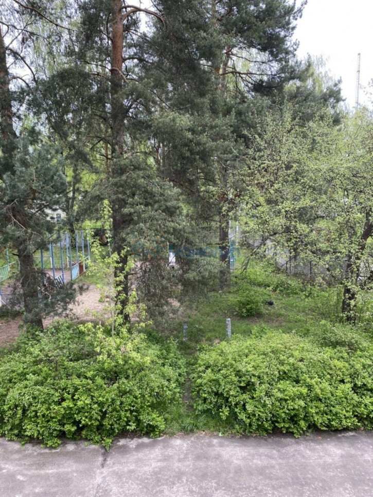 2-комн квартира Дружный сп.