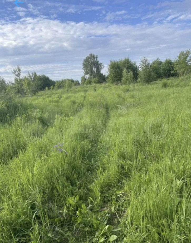 Земельный участок Зелецино д