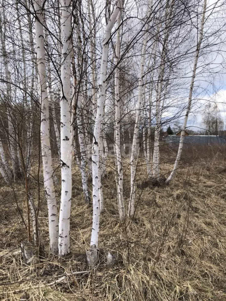 Земельный участок Виноградная,