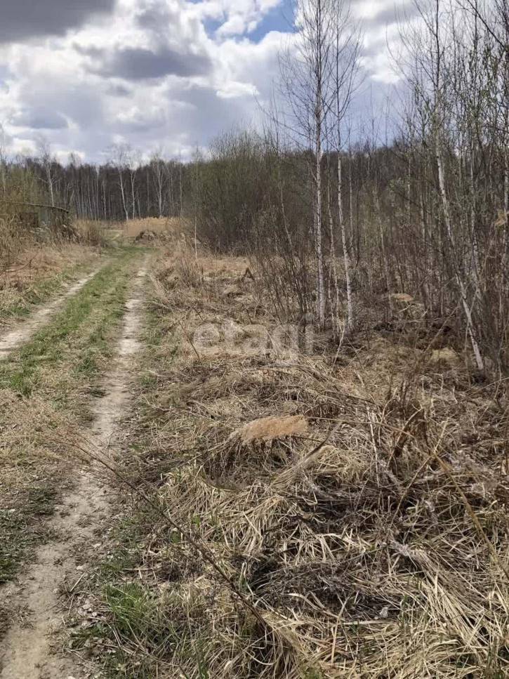 Земельный участок Виноградная,