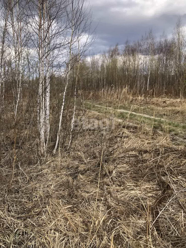 Земельный участок Виноградная,