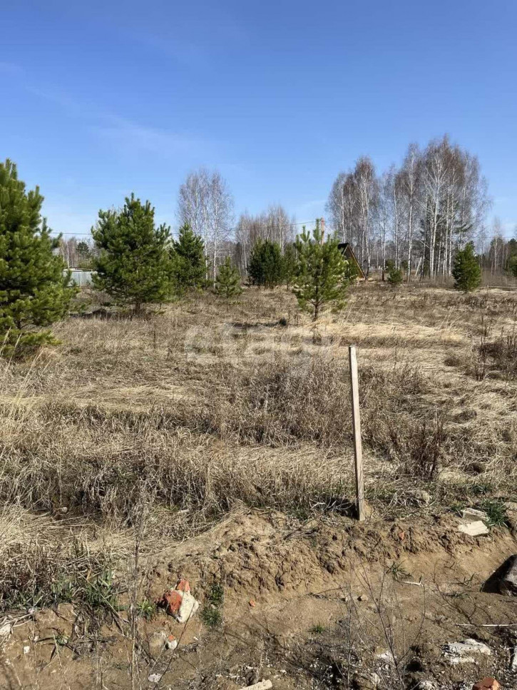 Земельный участок Пихта КП