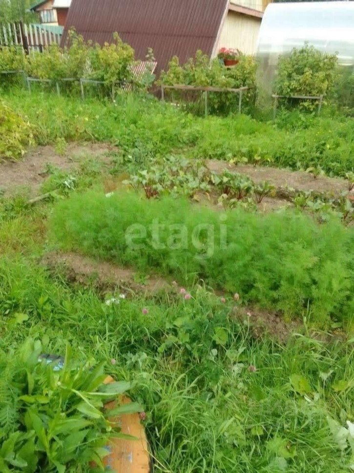 Коттедж/дом ,