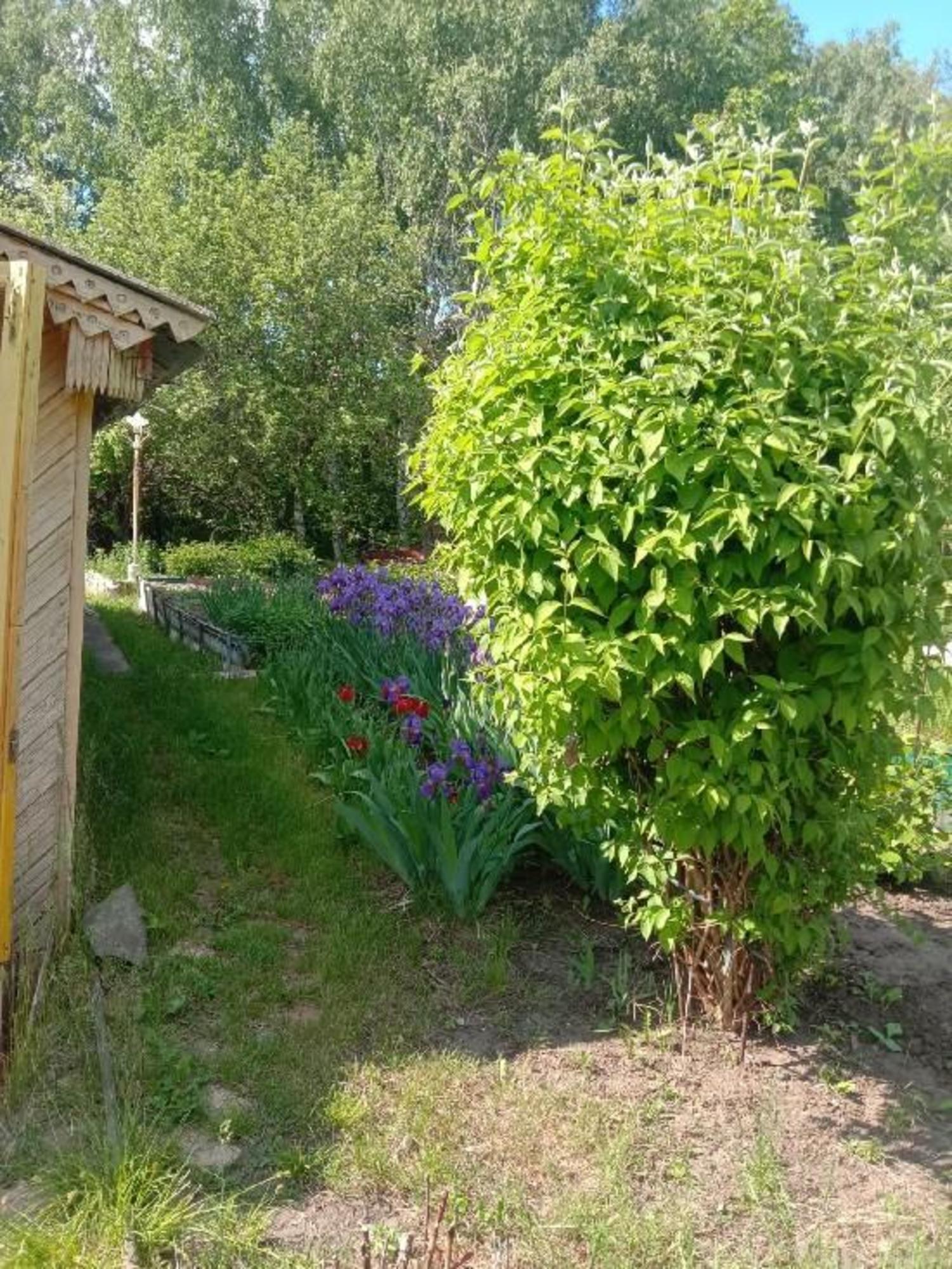 Купить дачу, дом, коттедж за 1 200 000 рублей на Волжский, зона В